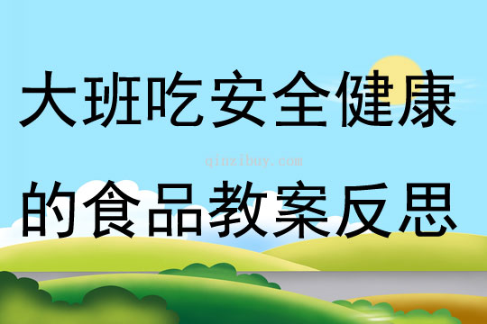 大班安全教育活動吃安全健康的食品教案反思