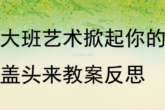 大班藝術(shù)掀起你的蓋頭來教案反思