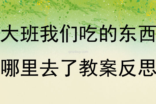 大班健康我們吃的東西哪里去了教案反思