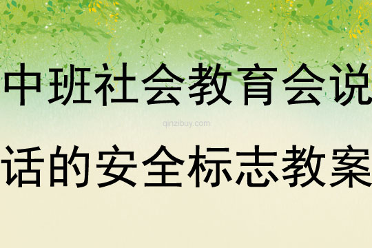 中班社會教育活動會說話的安全標志教案