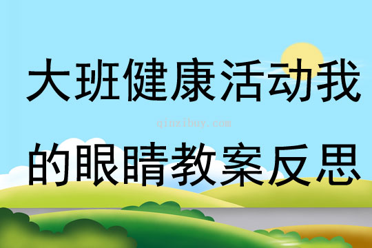 大班健康活動我的眼睛教案反思