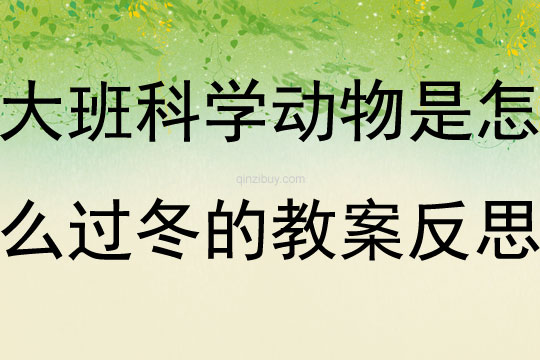 大班科學動物是怎么過冬的教案反思