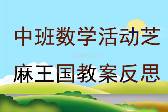 中班數學活動芝麻王國教案反思