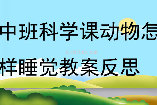 中班科學活動課動物怎樣睡覺教案反思