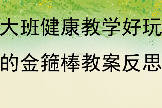 大班健康教學(xué)活動(dòng)好玩的金箍棒教案反思