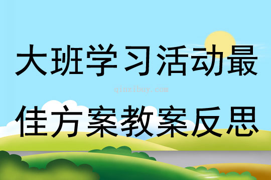 大班學(xué)習(xí)活動(dòng)最佳方案教案反思