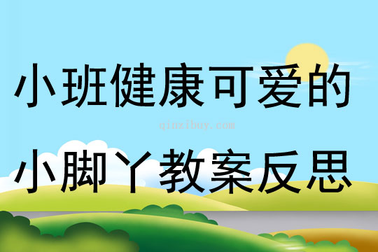 小班健康活動可愛的小腳丫教案反思