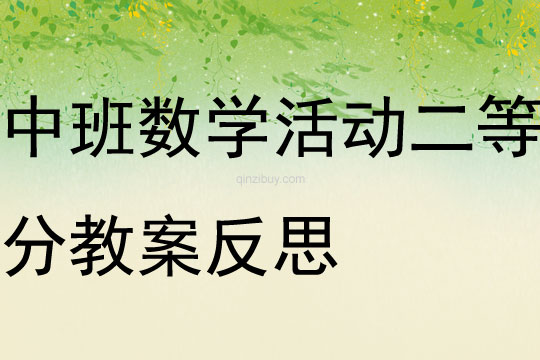 中班數學活動二等分教案反思