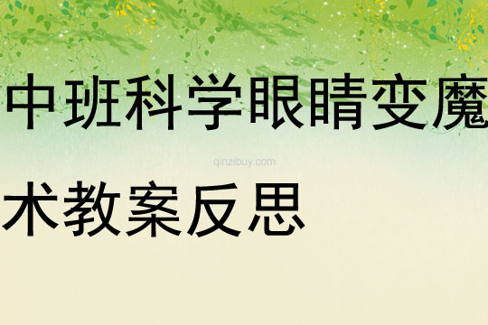 中班科學活動眼睛變魔術(shù)教案反思