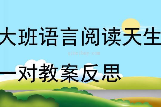 大班語言閱讀天生一對教案反思