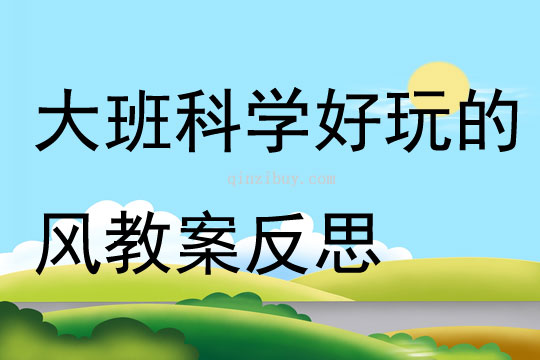 大班科學好玩的風教案反思