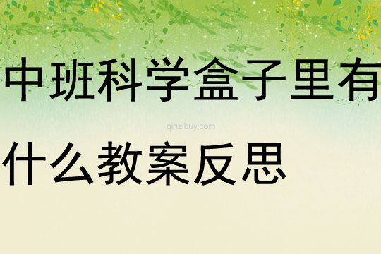 中班科學盒子里有什么教案反思