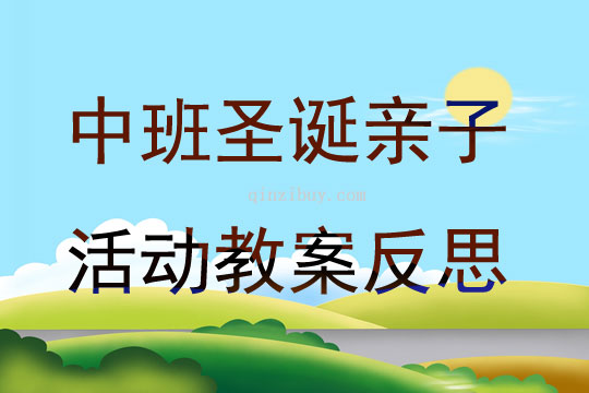 中班圣誕親子活動教案反思