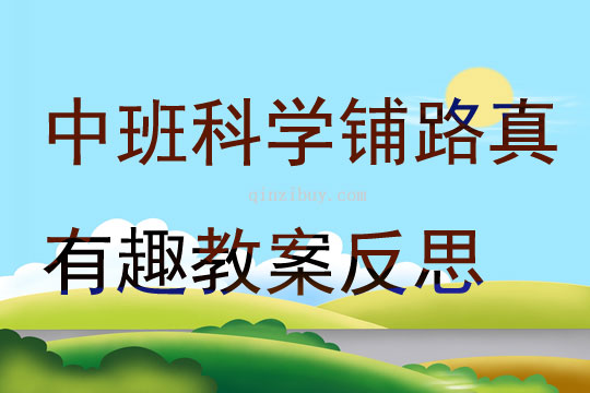 中班科學活動鋪路真有趣教案反思