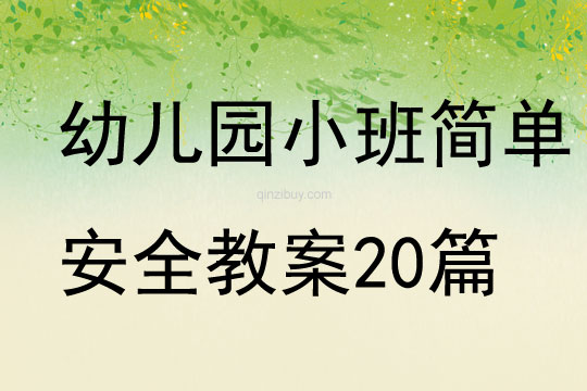 幼兒園小班簡單安全教案20篇