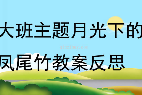 大班主題欣賞月光下的鳳尾竹教案反思