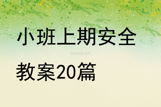 幼兒園小班上期安全教案20篇