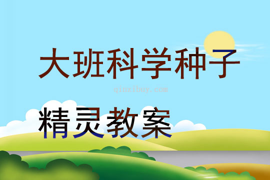 大班科學種子精靈教案