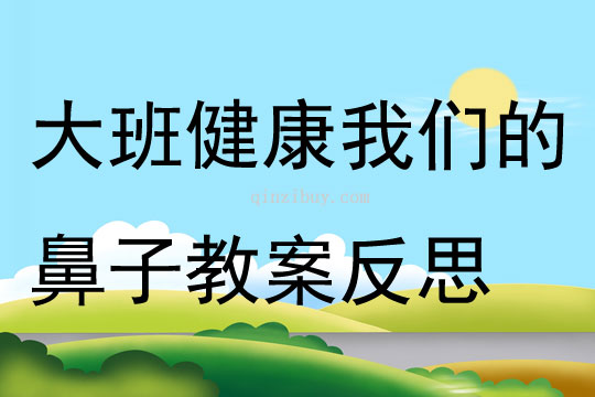 大班健康活動我們的鼻子教案反思