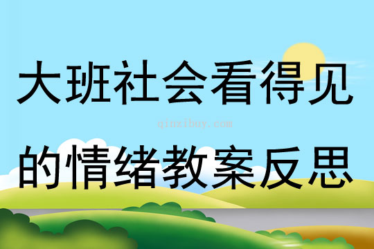 大班社會(huì)活動(dòng)看得見的情緒教案反思