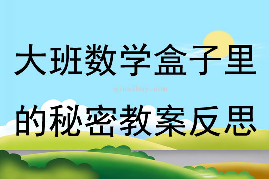 大班數學活動盒子里的秘密教案反思