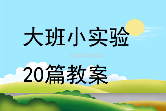 大班小實驗20篇教案