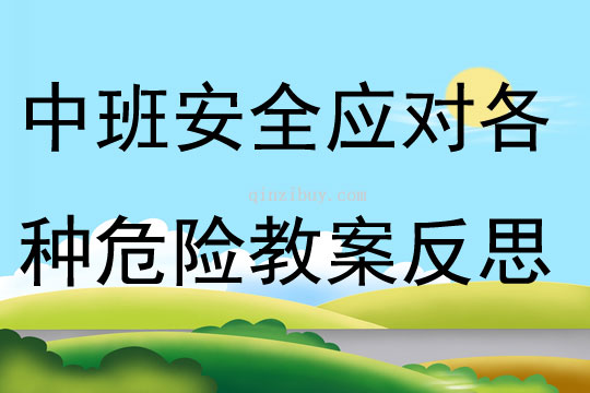 中班安全應(yīng)對各種危險教案反思