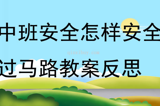 中班安全怎樣安全過馬路教案反思