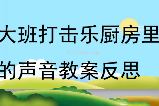 大班打擊樂廚房里的聲音教案反思