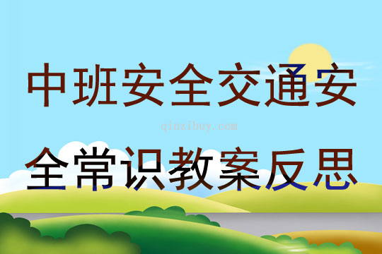 中班安全交通安全常識教案反思