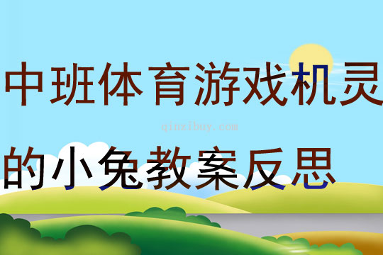 中班體育游戲機(jī)靈的小兔教案反思