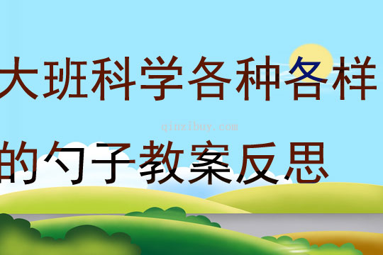 大班科學探索各種各樣的勺子教案反思