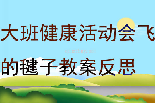 大班健康活動會飛的毽子教案反思