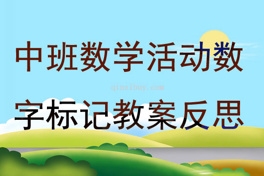 中班數學活動數字標記教案反思