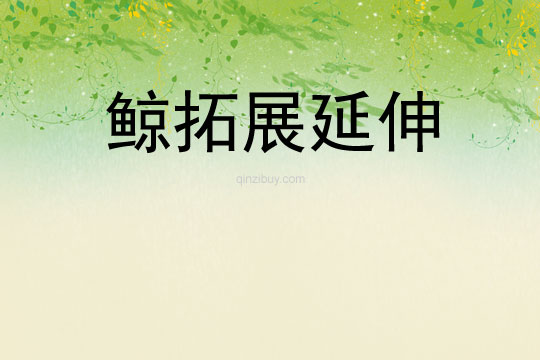 鯨拓展延伸
