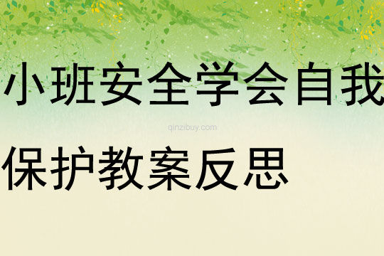 小班安全活動學會自我保護教案反思