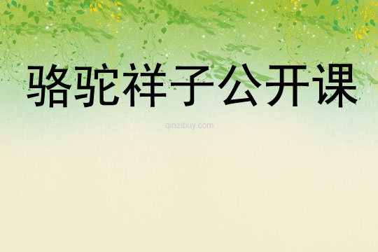 駱駝祥子公開(kāi)課