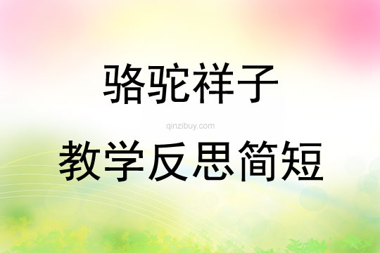 駱駝祥子教學反思簡短