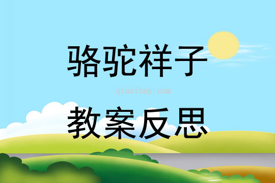 駱駝祥子教案反思