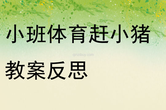 小班體育趕小豬教案反思
