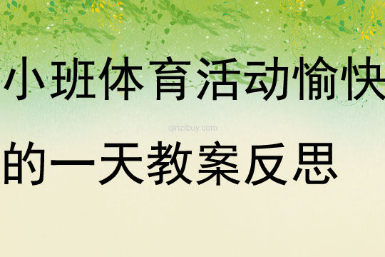 小班體育活動愉快的一天教案反思