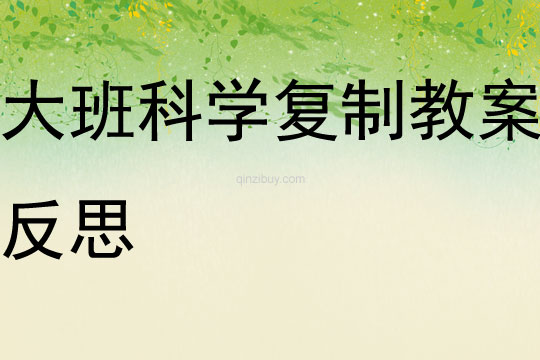大班科學(xué)復(fù)制教案反思