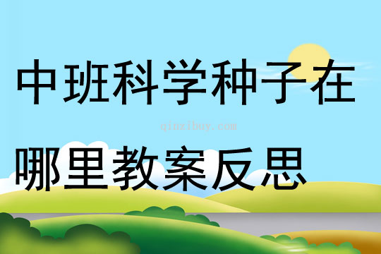 中班科學種子在哪里教案反思