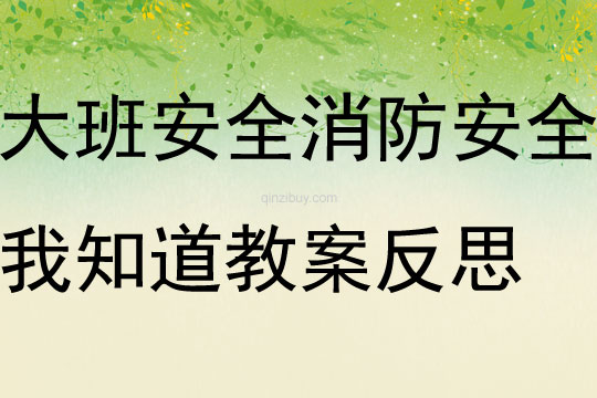 大班安全活動消防安全我知道教案反思
