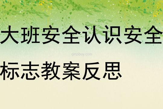 大班安全認(rèn)識(shí)安全標(biāo)志教案反思