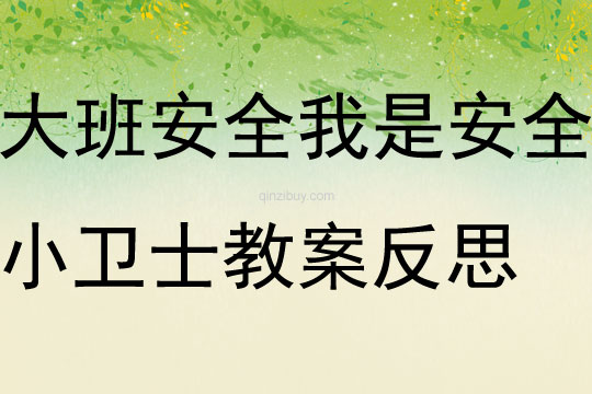 大班安全活動我是安全小衛(wèi)士教案反思