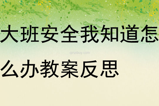 大班安全我知道怎么辦教案反思