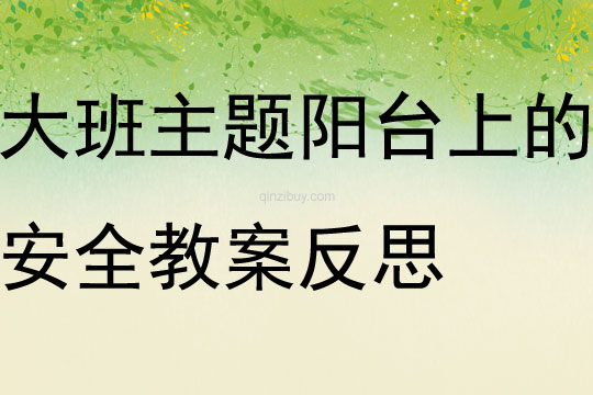 大班主題陽臺上的安全教案反思