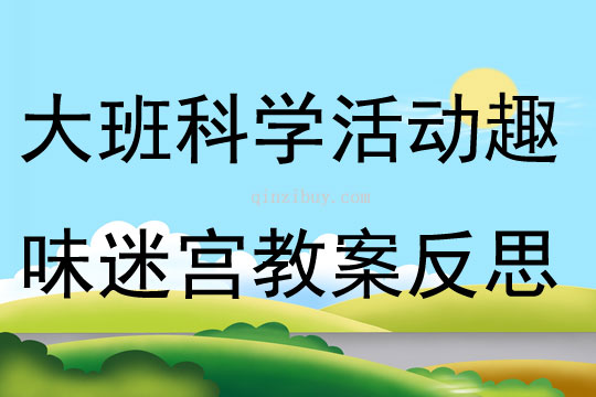 大班科學活動趣味迷宮教案反思