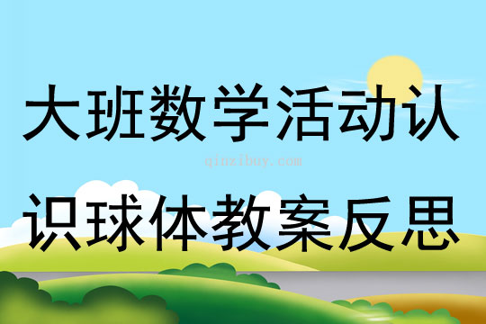 大班數(shù)學優(yōu)質(zhì)課認識球體教案反思